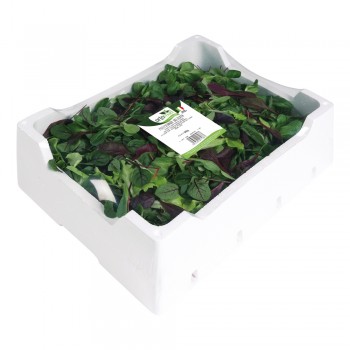 Misticanza Delicata <br> 500/800/1000g