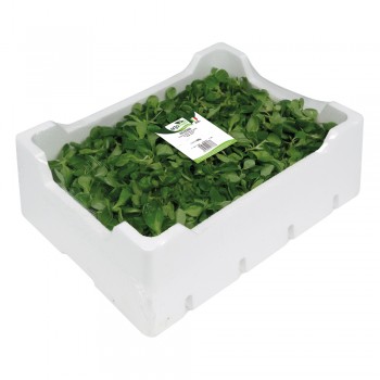 Valeriana <br> 500/800/1000g