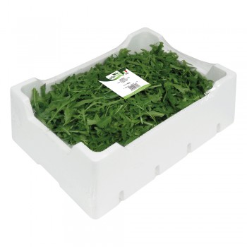 Rucola <br> 500/800/1000g