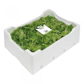 Lattughino Verde <br> 500/800/1000g