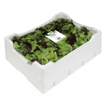 Mix Lattughini <br> 500/800/1000g