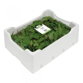 Red Chard <br> 500/800/1000g