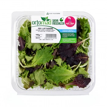 140g <br>Mix Lattughini