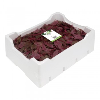 Bulls Blood <br> 500/800/1000g