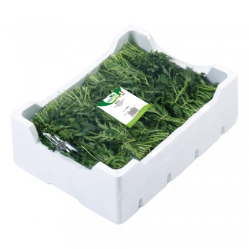 Rucola a Mazzetti <br> 500/800/1000g