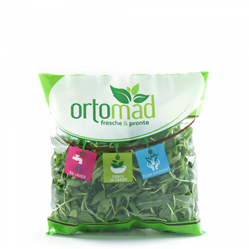 Rucola <br>100g